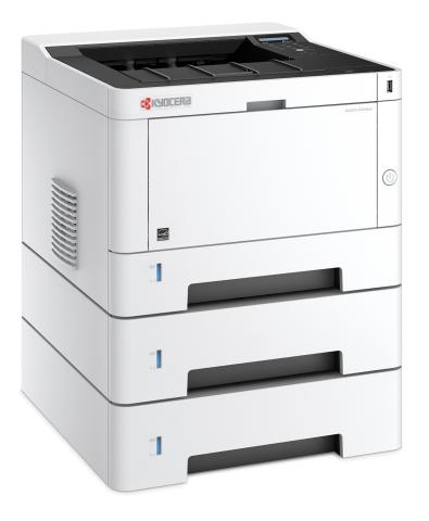 ECOSYS P2040dw